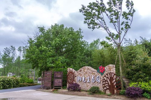 绿梦生态园汕头：一个让您身心放松、感受大自然之美的理想去处
