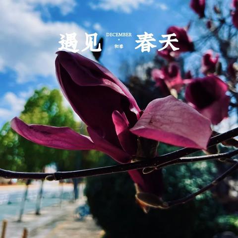(晨曦列车在哪里玩)探寻日出的美丽:晨曦列车单机版游戏全指南 (晨曦列车在哪里玩)探寻日出的美丽:晨曦列车单机版游戏全指南