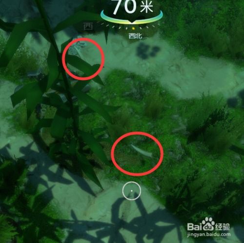 (深海之牙怎么获得?)如何获取深海之息礼盒?快速获得指南分享 (深海之牙怎么获得?)如何获取深海之息礼盒?快速获得指南分享