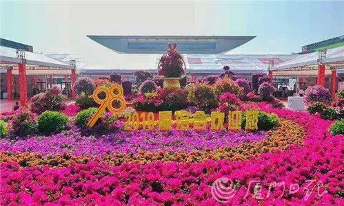 紫禁繁花停止运营了吗?网友热议这一知名文化景点的未来如何发展? 紫禁繁花停止运营了吗?网友热议这一知名文化景点的未来如何发展?