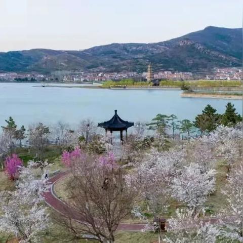 (大圣快点游戏)大圣快快5中文版更新内容详解:全新地图、技能及角色介绍 (大圣快点游戏)大圣快快5中文版更新内容详解:全新地图、技能及角色介绍