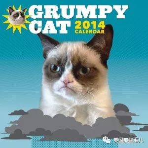 探索新版猫社区官方的全新功能与精彩活动,让您畅享宠物乐趣与交流分享