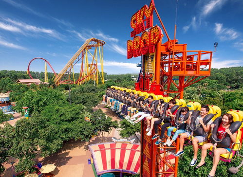 星天乐园超人熊主题乐园的创新设计与操作模式分析,给游客带来独特游乐体验 星天乐园超人熊主题乐园的创新设计与操作模式分析,给游客带来独特游乐体验