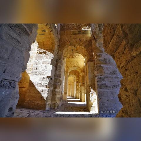 (女角斗士战败后)女角斗士重磅回归:新版改编展现现代女性力量