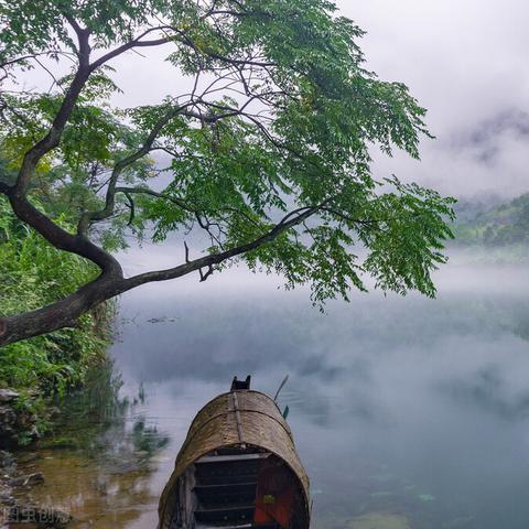 (江南烟雨含义)江南烟雨中的意思是什么?意蕴深远,唯美入骨。