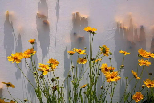 (云在西湖月在天什么意思)云在西三部曲是哪三部?揭秘这部著名作品的奇幻世界