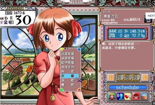 (美少女梦工厂5数值)美少女梦工厂5游戏攻略：如何根据角色血型优化你的游戏策略？