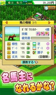 (开罗游戏跑马牧场攻略)探索开罗顶级跑马牧场：全方位攻略与最佳体验指南