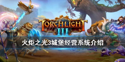 (火炬之光无限是单机吗)探析火炬之光无限交易平台的运营模式与玩家体验优劣之关联