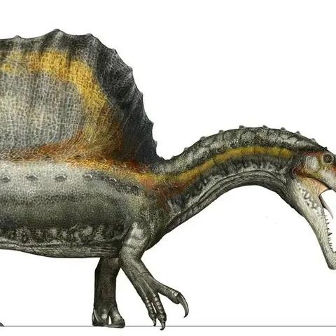 (魔兽战神有第二部吗)探寻神秘的魔兽战神2二十一世纪龙人的传说与真相