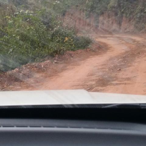 钓鱼佬1-100集：探索钓鱼技巧与户外冒险的完美结合，带你领略鱼塘秘境