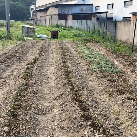 钓鱼佬1-100集:探索钓鱼技巧与户外冒险的完美结合,带你领略鱼塘秘境 钓鱼佬1-100集:探索钓鱼技巧与户外冒险的完美结合,带你领略鱼塘秘境