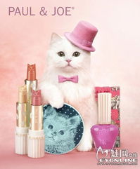 (花香香水)花香水与猫出行:如何获得种子大全及种植技巧分享