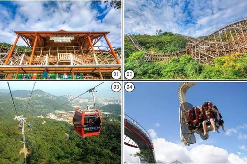 穿越龙谷过山车:探险之旅穿越神秘山谷,畅游刺激刺骨的过山车冒险