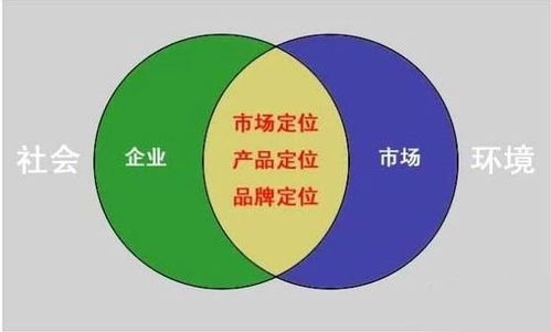 (塞勒恩特)探索新的战略:塞勒特大陆枪技能搭配指南及策略分析 (塞勒恩特)探索新的战略:塞勒特大陆枪技能搭配指南及策略分析
