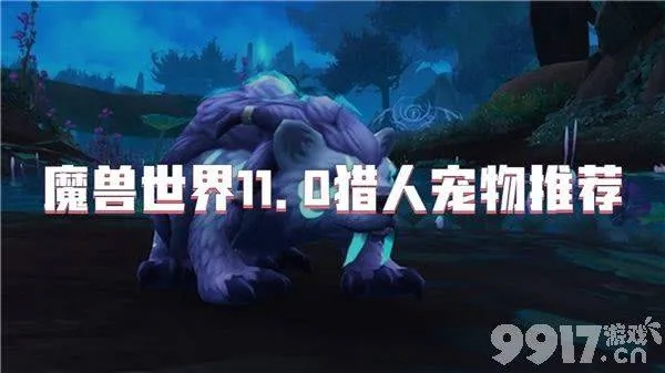 魔兽世界1.12版本猎人职业升级宠物推荐攻略:精通宠物选择与养成技巧