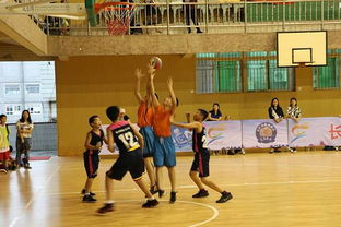 泰安老铁篮球俱乐部：打造篮球之家，培养篮球新秀，助力青少年篮球梦想的实现