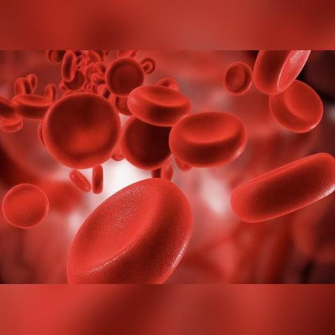 (护肝修仙)养生之道:修个肝仙不减反增版——探索肝功能增强的健康秘密