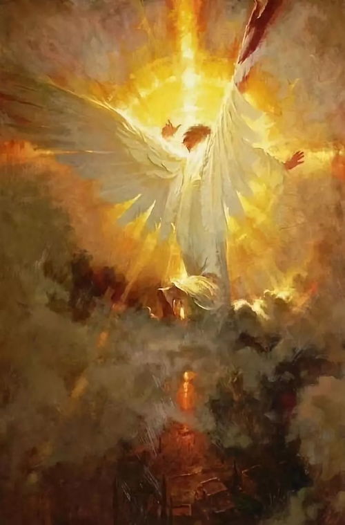 寻光之旅牧天使:探索生命意义、爱与信仰的美丽篇章