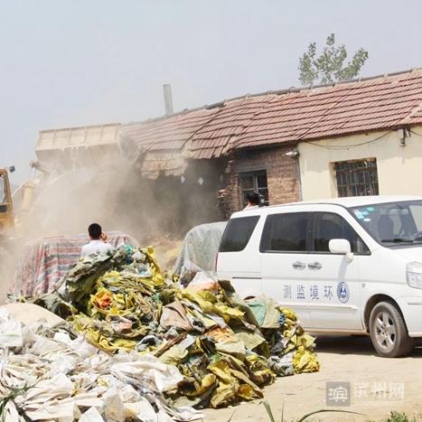 (世界大战1914bgm)绿色先锋的勇士：详解世界大战1914中的环保运动与独特影响