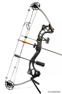 在线购买弩子弹药：多样选择，便捷服务，安全保障。