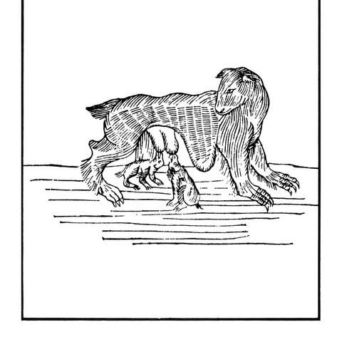 逐魔之旅：以'修魔世界猎人王'为线索，揭秘猎人成长之路与激战魔界历程