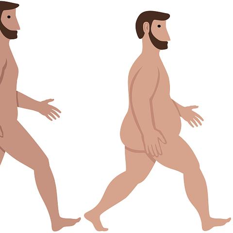 (微观进化的概念)探索微观演化之谜：揭秘类微进化机制的游戏体验