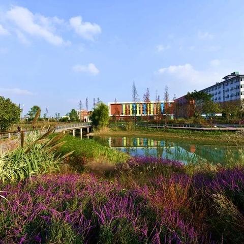 (闪亮亮的生活)闪亮的我们：在生活的舞台上绽放自我，书写辉煌人生的每一步