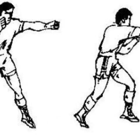 学习武术绝招100招，提升自我防身技能，强身健体，展现实力与自信。