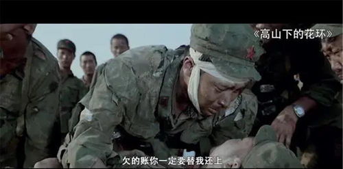 (高山下的花环哪个部队)在高山下的花环502原型，诉说着自然与科技共融的奇妙之美
