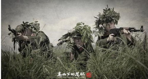 (高山下的花环哪个部队)在高山下的花环502原型，诉说着自然与科技共融的奇妙之美