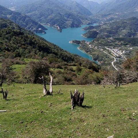 (少年冒险王雅安大熊猫主要内容)少年冒险王雅安大熊猫：探索奇幻旅程与友谊的成长故事