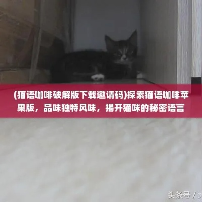 (猫语咖啡解锁挑战攻略)猫语咖啡旧版免费试用，探寻猫科动物间的不为人知的秘密。