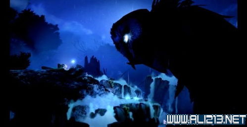 探秘神秘乌鸦森林：黑暗的树影、哀嚎的风声，荆棘丛生的迷雾之地