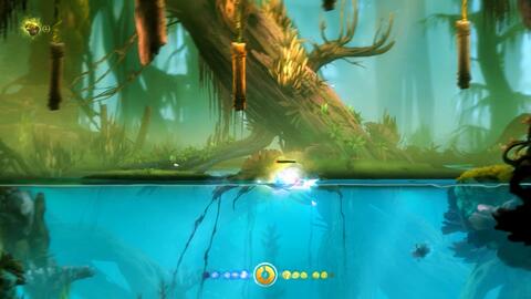 探秘神秘乌鸦森林：黑暗的树影、哀嚎的风声，荆棘丛生的迷雾之地