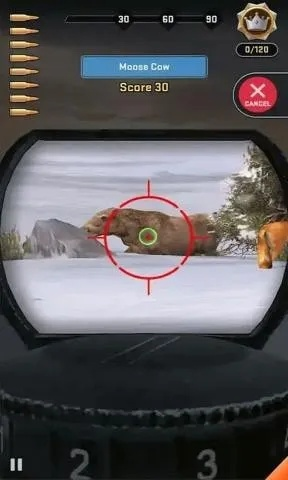 (猫咪狩猎模式)探索猫咪打猎的无尽模式：挑战无限金币获取并与野生动物竞技