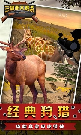 (猫咪狩猎模式)探索猫咪打猎的无尽模式：挑战无限金币获取并与野生动物竞技