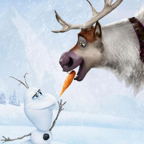 边境猎人艾尔莎的命运之轮攻略：全面解析技巧与策略，助你轻松通关