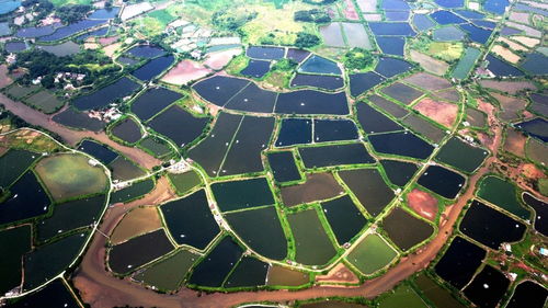 星罗棋布：用来形容密集分布的房屋群落和未来城市规划的新视角