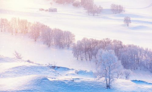 探索四季之最：不同的冬天图文攻略，体验世界各地别样的冬季魅力与文化风情