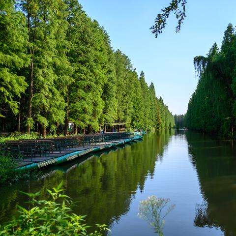 (兵马俑的黑科技)兵马俑黑科技官方下载：探秘古老秘境，解锁超前黑科技力量