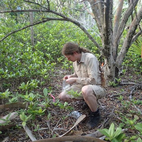 奔跑的蜗牛作品集：探索奇幻与现实的交汇，见证微小生命的传奇征程