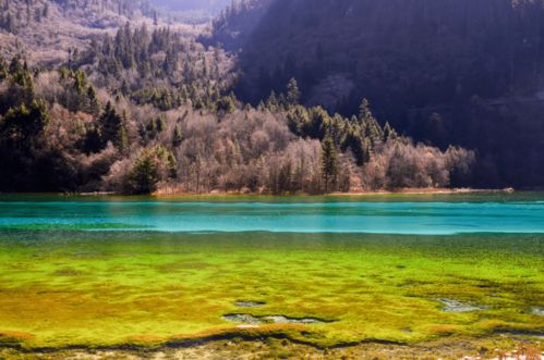(苍穹之间,皆是风景:探寻世界的美妙景致)苍穹之间,皆是风景：探寻世界的美妙景致