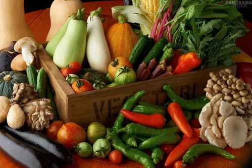 (蔬菜乐园长什么样)探寻美食乐园：探访蔬菜庄园01，感受自然与美味的完美结合