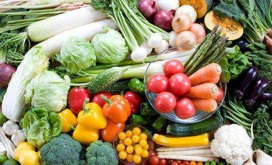 (蔬菜乐园长什么样)探寻美食乐园:探访蔬菜庄园01,感受自然与美味的完美结合 (蔬菜乐园长什么样)探寻美食乐园:探访蔬菜庄园01,感受自然与美味的完美结合