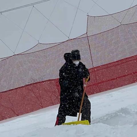 详解赛道大师的独特魅力：百度百科带你深入理解这一热门电竞游戏