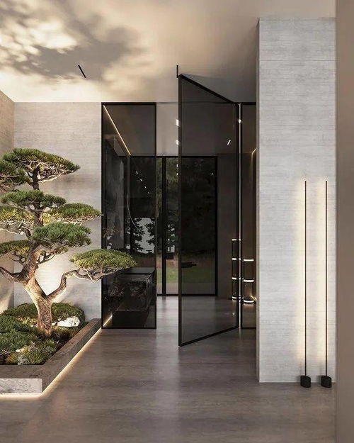 (沃的探索之旅)探索woodo官网版特色，发现独具魅力的设计与创新功能