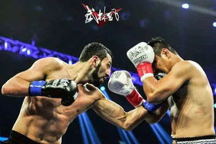 (特雷弗亨德森怪兽格斗视频)巨兽争霸赛特雷弗亨德森：挑战巨兽王座的关键一战