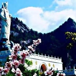 九龙朝手游：探索古代神话世界，体验极致战斗与策略的完美结合