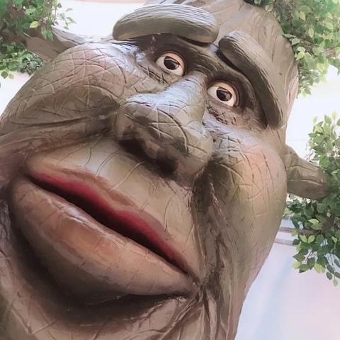 探秘神秘土想森林：古老传说背后隐藏的秘密与奇幻生物们